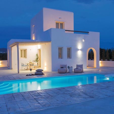 Naxian Lounge Villas Naxos City Zewnętrze zdjęcie